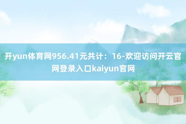 开yun体育网956.41元共计：16-欢迎访问开云官网登录入口kaiyun官网