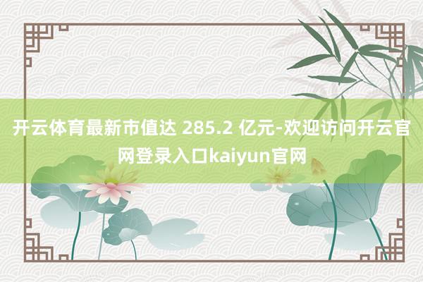 开云体育最新市值达 285.2 亿元-欢迎访问开云官网登录入口kaiyun官网
